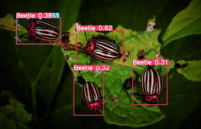 Agriculture Data Annotation