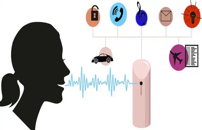 Audio Data Collection​